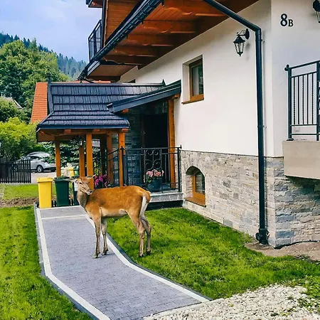 Niezapominajka * Zakopane